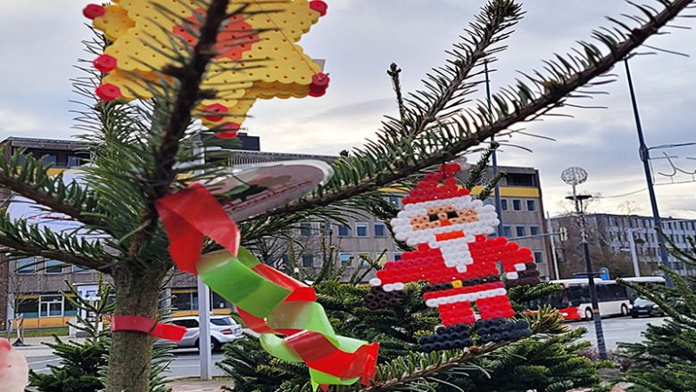 Weihnachtsbaumwettbewerb – die Abstimmung beginnt