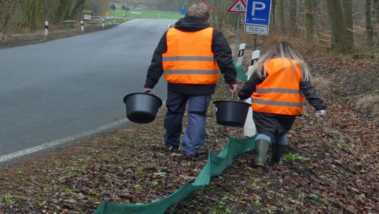 Amphibien brauchen neue Engagierte