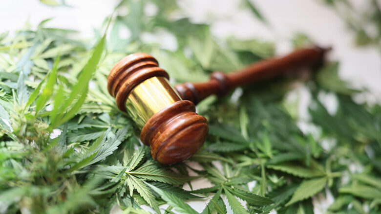 Online-Informationsabend rund um die Cannabislegalisierung