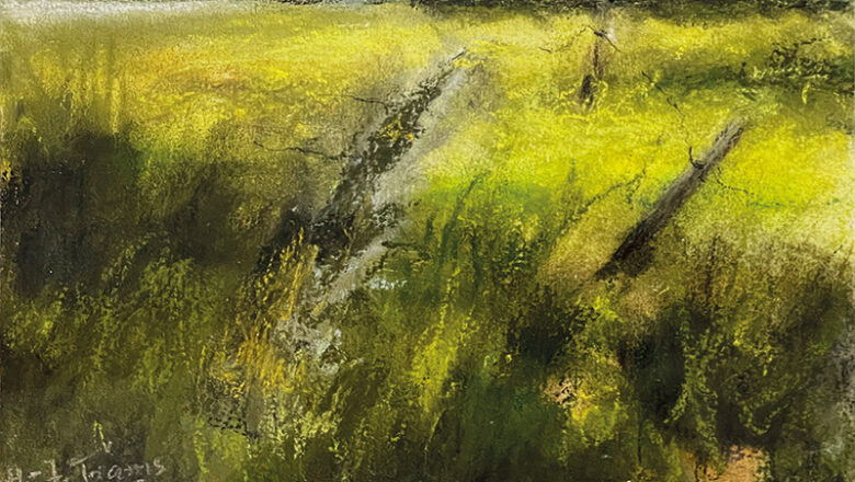 Ausstellungseröffnung: Künstlerische Sichtweisen der salzgitter-gruppe