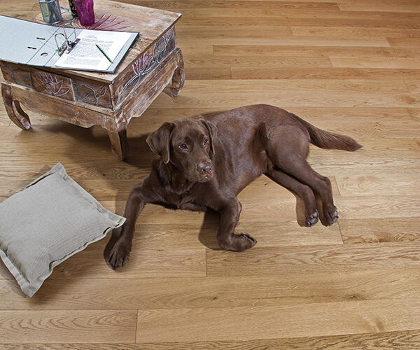 Wohnambiente mit Holz – aus einem Guss