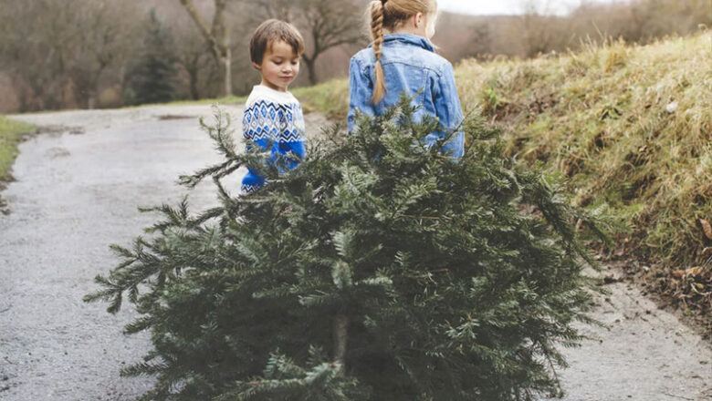 Weihnachtsbaumabfuhr 2026
