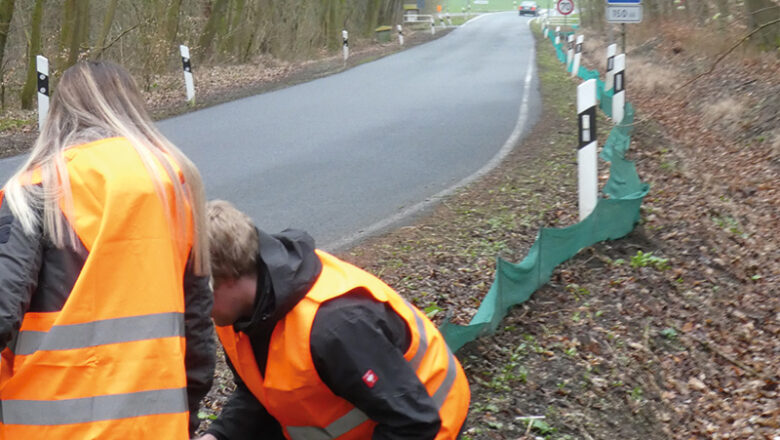 Amphibien sind unterwegs