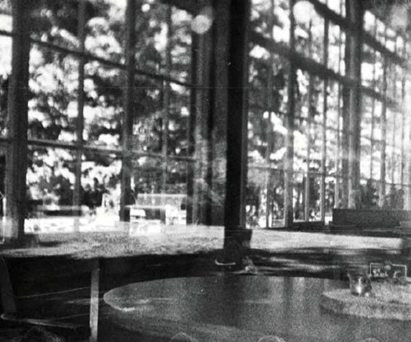 Zweitägiger Workshop: Analoge Fotoentwicklung ganz natürlich