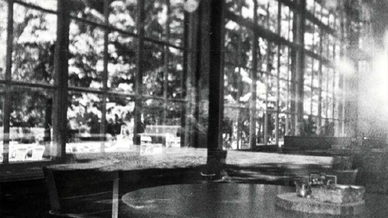 Zweitägiger Workshop: Analoge Fotoentwicklung ganz natürlich