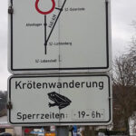 Krötenwanderung im Oelbertal: kurzfristige Straßensperrung möglich