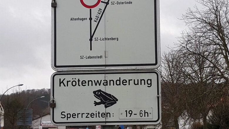 Krötenwanderung im Oelbertal: kurzfristige Straßensperrung möglich