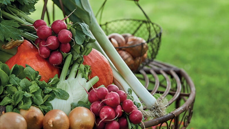 Altbewährtes Gemüse