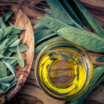 Mit der VHS immer der Nase nach