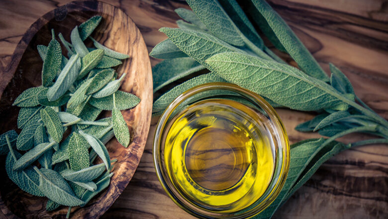 Mit der VHS immer der Nase nach