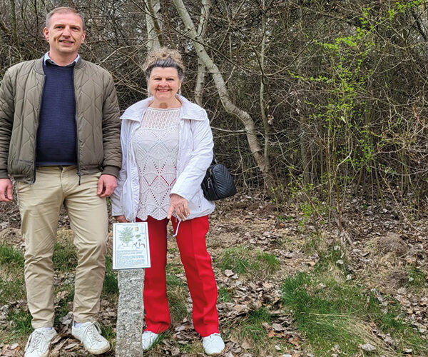 Informationstafel zum Baum des Jahres