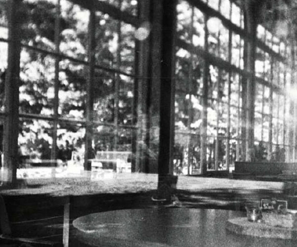 Foto-Workshop: Fotoentwicklung ganz natürlich