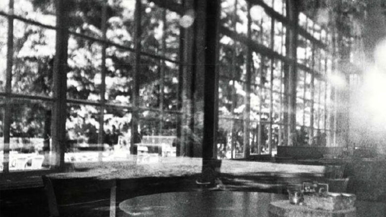 Foto-Workshop: Fotoentwicklung ganz natürlich