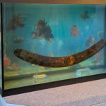 Eiszeit im Aquarium!