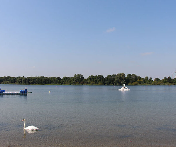 Helios-Drachenbootcup 2026: Sport, Spiel, Spaß für die ganze Familie am Salzgittersee