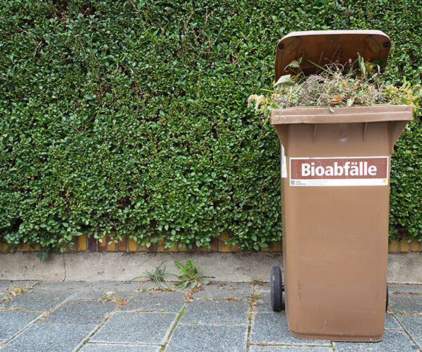 Biotonne im Sommer: Tipps zur Befüllung und Handhabung