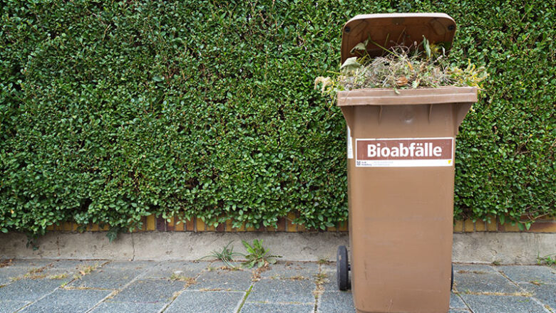 Biotonne im Sommer: Tipps zur Befüllung und Handhabung