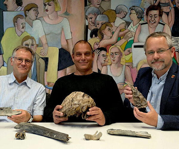 Bürger schenken Museum weitere Salzgittersee-Funde