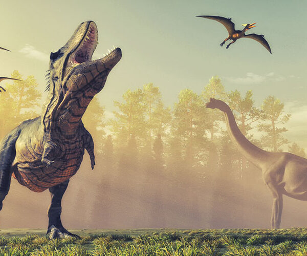 Kultursommer Salzgitter: Absage der Veranstaltung „Dinotastic“
