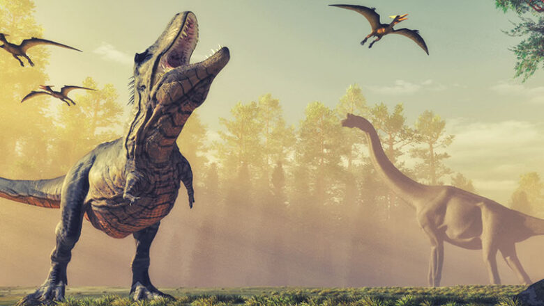 Kultursommer Salzgitter: Absage der Veranstaltung „Dinotastic“