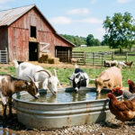 Wassertränken für Wildtiere