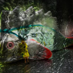 ATELIER 70 „Momente der Illusion“