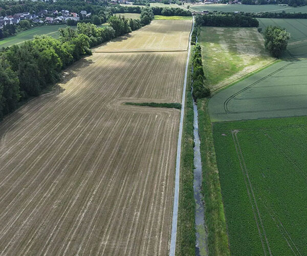 Start für „Renaturierung der Fuhseaue“
