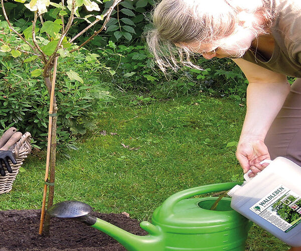 Mit Vorsprung ins nächste Gartenjahr